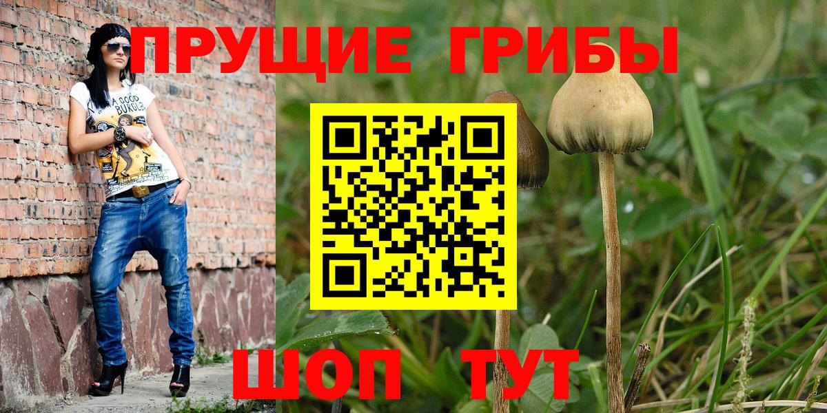 Галлюциногенные грибы Magic Shrooms Жуковский