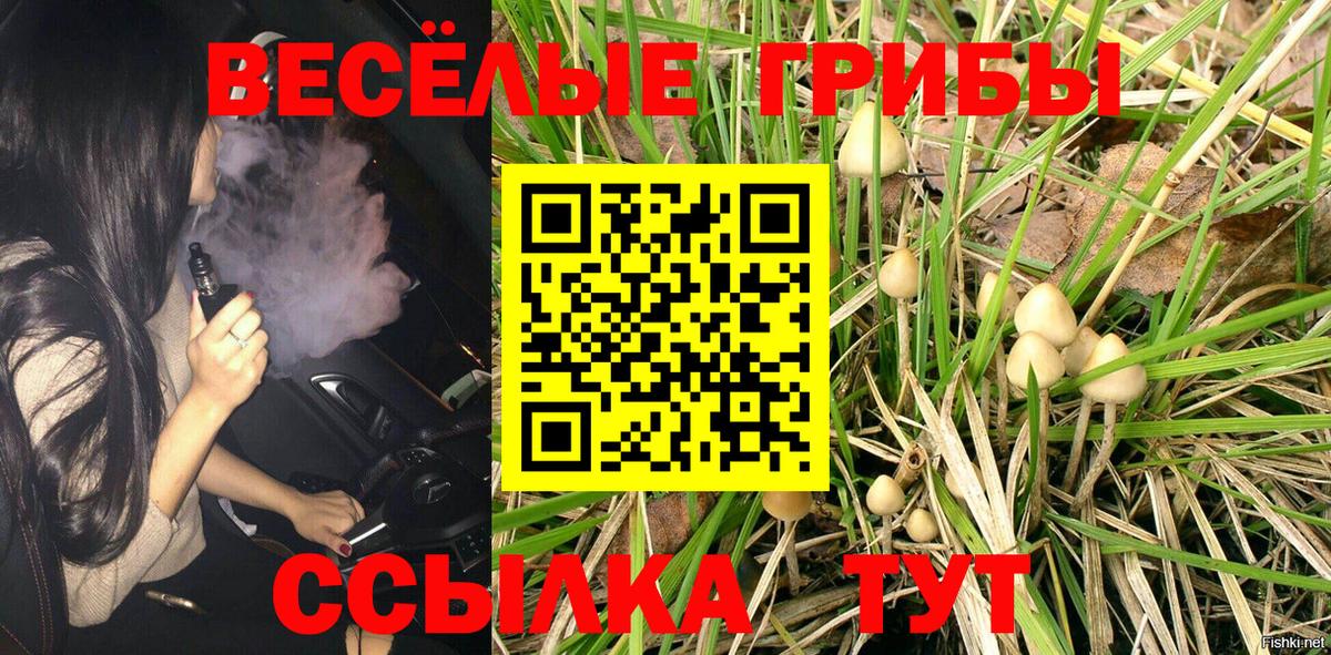 COCAIN  Канабис  МАРИХУАНА  Вход с VPN  Жуковский  Мефедрон   ГАШ  Героин  МДМА  Метамфетамин 