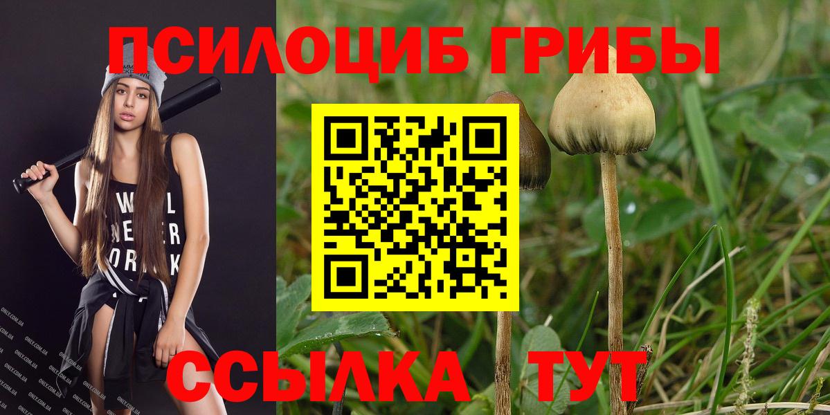 Галлюциногенные грибы MAGIC MUSHROOMS  Псилоцибиновые грибы MAGIC MUSHROOMS  Жуковский 